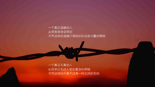 寫給女朋友暖心的情話小作文