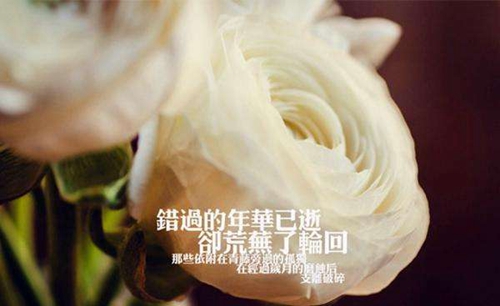 表白句子給老師的