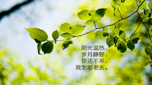 關于真心話大冒險的土味情話