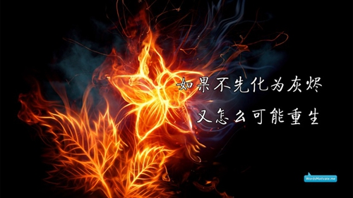 土味情話撩男視頻