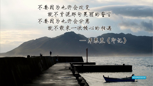 給主播表白的句子
