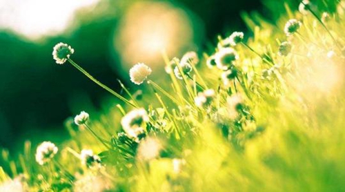 挽回老公的情話幽默句子