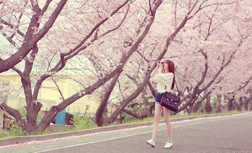 給女孩子的表白情書