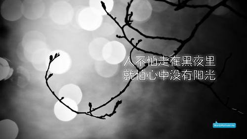 25句一點的七夕表白創意