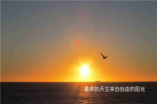 一本關于情話的書