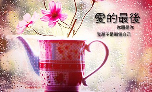 完美情話最暖心短句