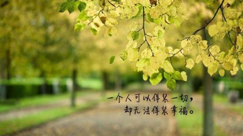 很土味情話