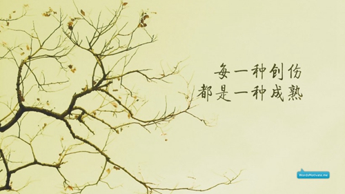 網紅早安情話大全