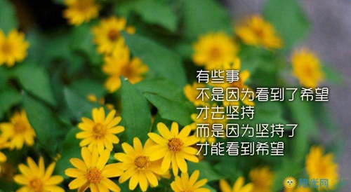 暖心思念句子說說心情
