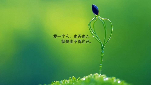 對對象說的小情話套路