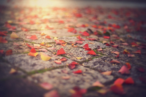土味情話黃渤孫紅雷