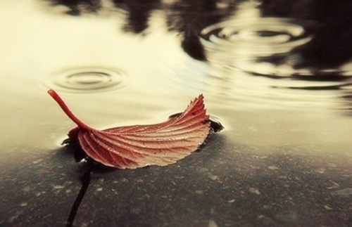 適當(dāng)?shù)那樵捠潜匾? title=
