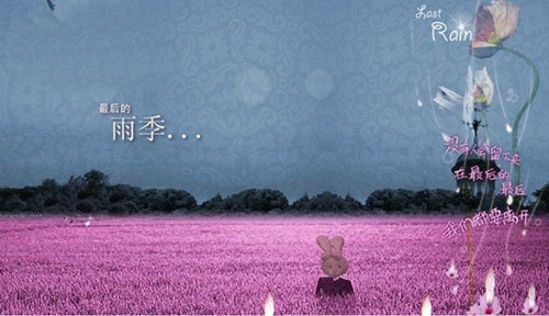 來幾句土味情話聽聽