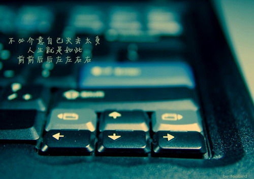 經典外國電影經典情話