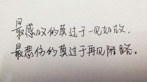 情話短句87期