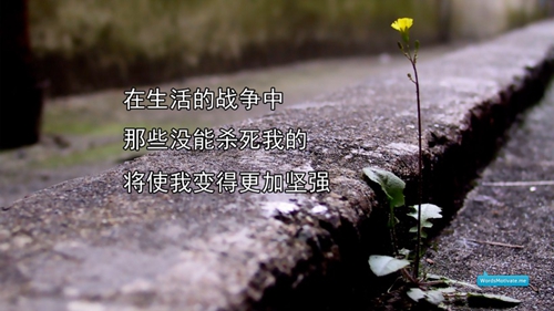 15條感冒的傷感情話