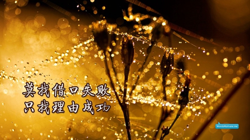 情話神話卡點抖音完整
