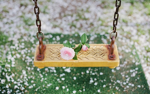 雨蘇夢發布