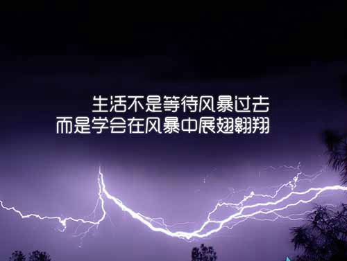 儀式感表白詞